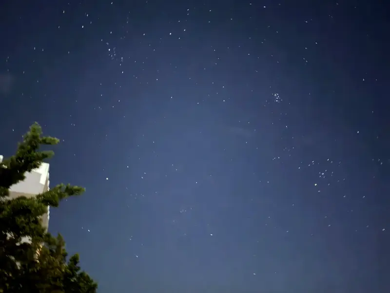 夜晚的星空與園區樹木
