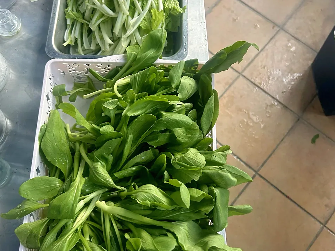 新鮮無農藥蔬菜與開心農場雞蛋